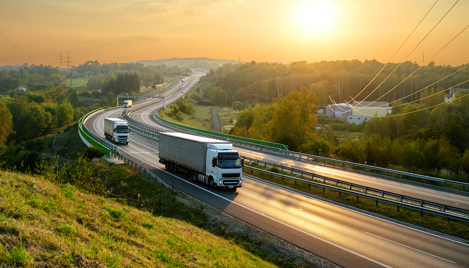 Görsel-Sunduğumuz Bazı Hizmetler